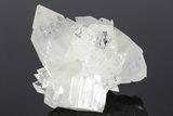 Colorless Apophyllite Crystal Cluster - India #183972-2